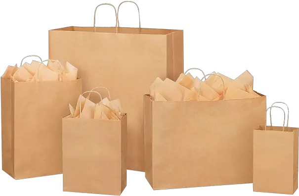  Buy Paper Bags Bulk India Manufacturer Jewelry Paper Bags Size Png Paper Bag Png