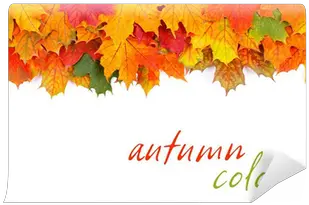  Autumn Leaves Border Wall Mural U2022 Pixers We Live To Change Horizontal Png Fall Leaves Border Png