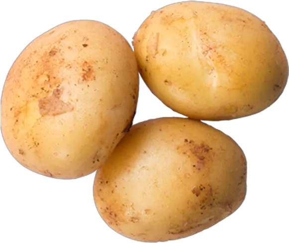  Download Potato Yukon Gold Potato Full Size Png Image Transparent Background Potato Png Potato Png Transparent
