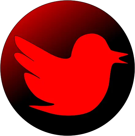  User Account Red Twitter Icon Transparent Png Twitter Logo Small