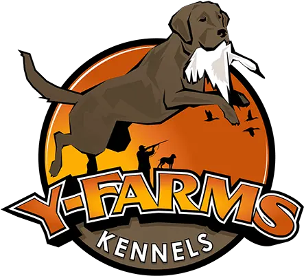  Download Y Farms Is A Family Owned And Operated Dog Kennel Kennel Png Farm Logos