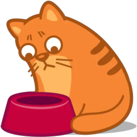  Chuvi W Chuvi Github Hungry Cat Cartoon Png Funny Cat Icon