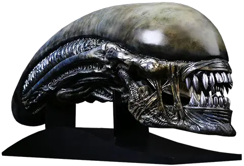  Covenant Replica Xenomorph Alien Head Png Alien Head Png