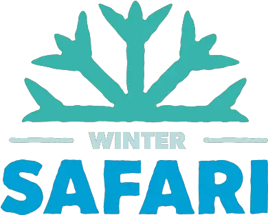  Winter Safari Update Denver Zoo Starbucks Card India Png Safari Png