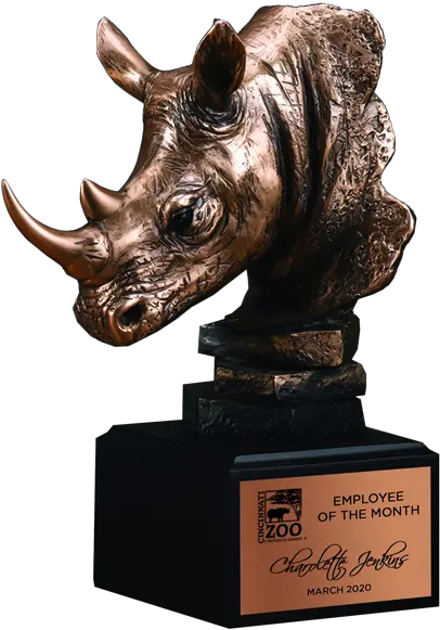  Bronze Rhinoceros Head Trophy Paradise Awards Rhino Bust Png Rhino Icon