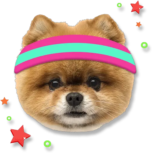  Mike The Knight S1 Ep112 Dog Clothes Png Alpha Icon Dog Clothes