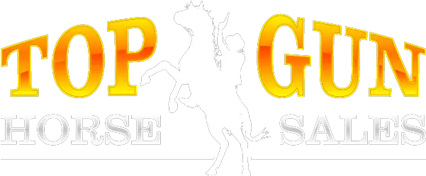  Top Gun Horse Sales Terms U0026 Conditions Top Gun Horse Sales Wells Fargo Png Top Gun Logo