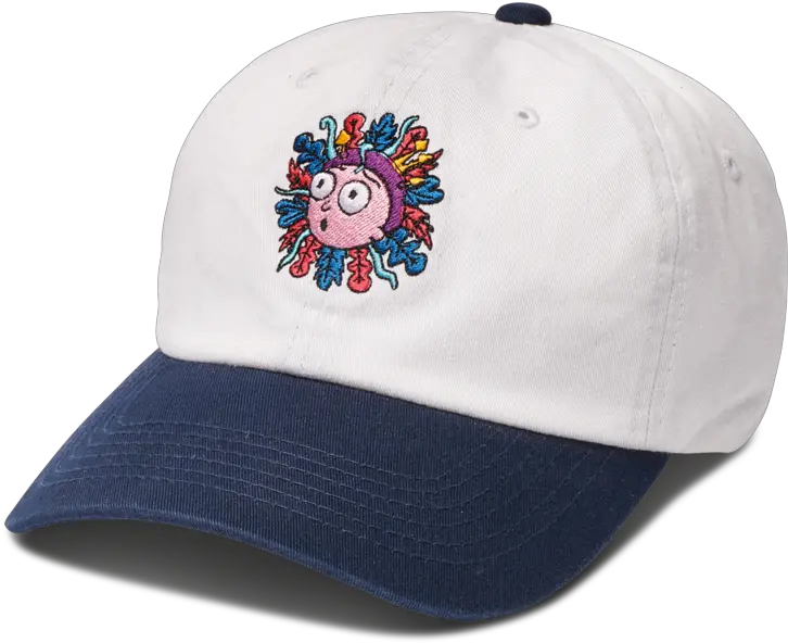  Download Primitive Rick And Morty Hat Hd Png Rick And Morty Dad Hat Primitive Rick And Morty Logo Png