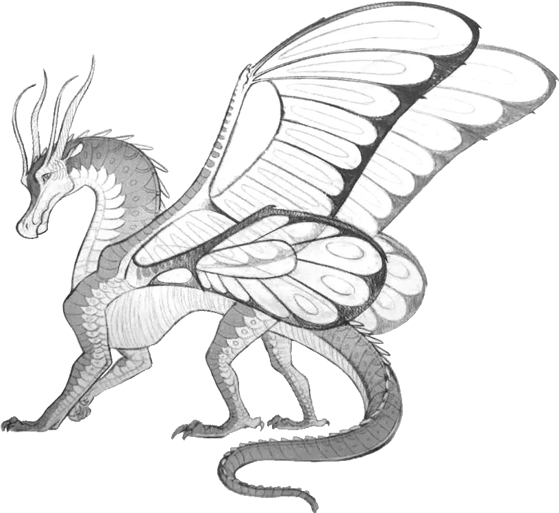  Rhea Wings Of Fire Fanon Wiki Fandom Wings Of Fire Dragons Drawings Png Fire Wings Png