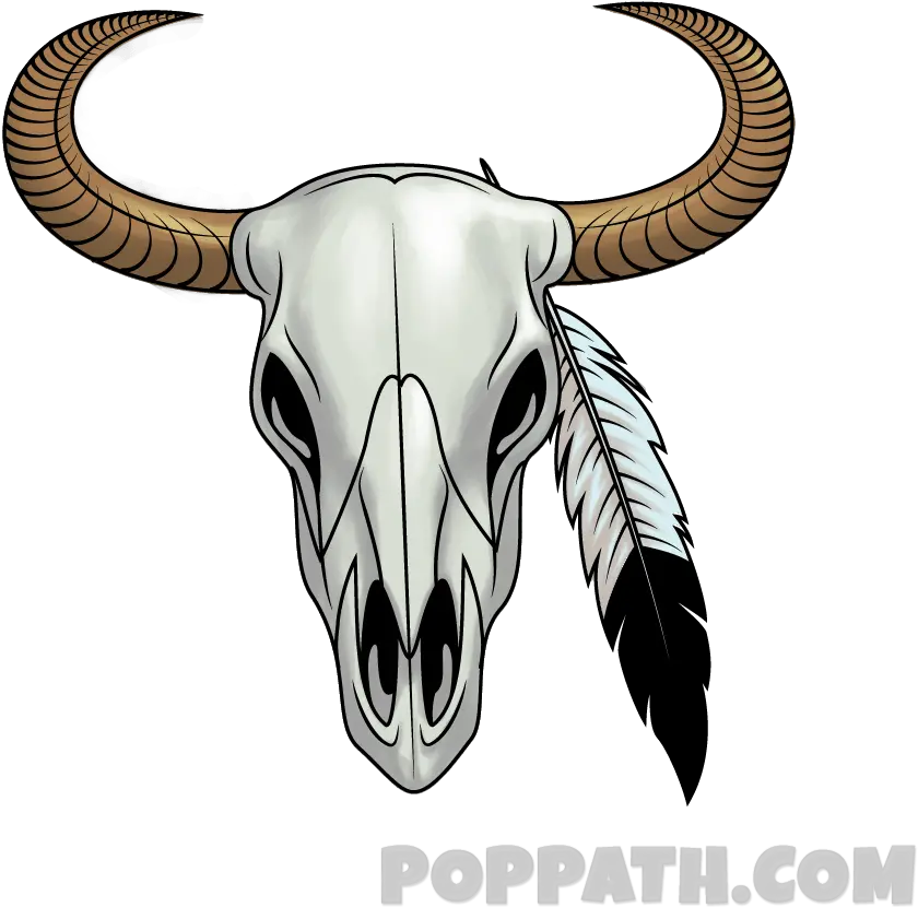  Bull Skull Png Longhorn Skull Png Transparent Background Draw A Cow Skull Cow Skull Png