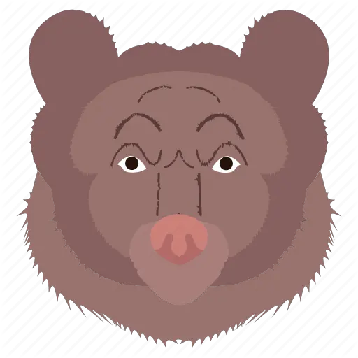  Animal Bear Face Zoo Icon Ugly Png Bear Face Icon