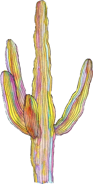  Free Download Transparent Cactus 328x640 For Your Desktop Sketch Png Cactus Transparent