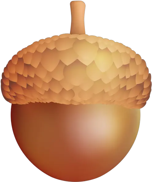  Download Acorn Png Image For Free Transparent Transparent Background Acorn Clipart Acorn Png