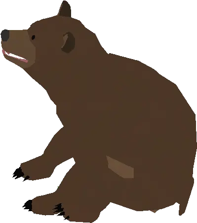  Bear Bear From Sneaky Sasquatch Png Bears Png