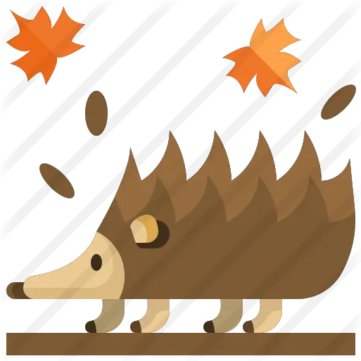  Porcupine Free Animals Icons Clip Art Png Porcupine Png