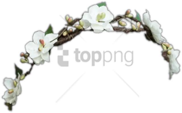  Download Free Png Black Flower Crown Transparent Wisteria Flower Crown Transparent