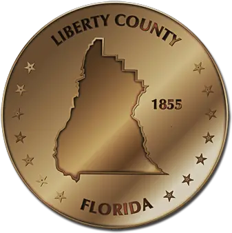  Liberty Fun Style Maps 10 Coinsu2014bronze Solid Png Florida Silhouette Png