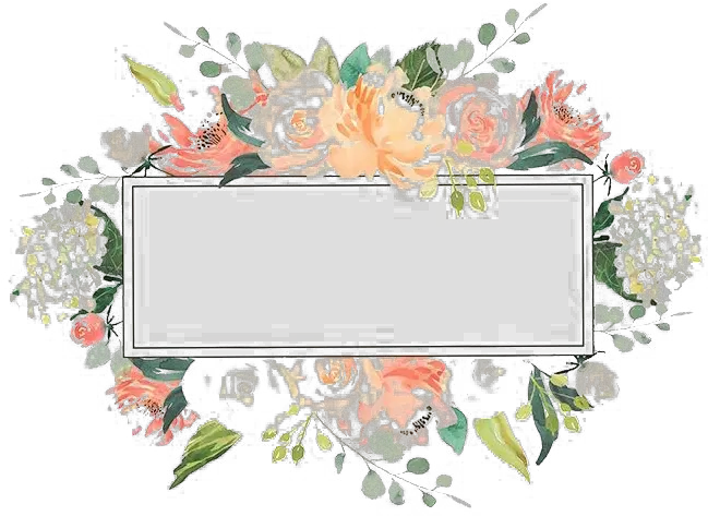  Floral Frame Png Transparent Images All Transparent Floral Frame Png Frames Png