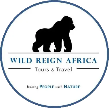  Wild Reign Africa Tour And Travel Company Bwindi Impenetrable National Park Png Gorilla Logo