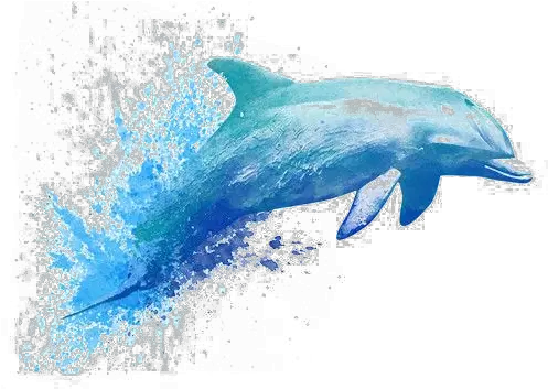  Dolphin Painting Drawing Png Free Photo Painted Dolphin Dolphin Clipart Png