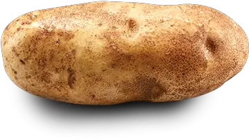  Potato Al Araby For Import And Export Coronavirus Potato Dutton Png Potato Png