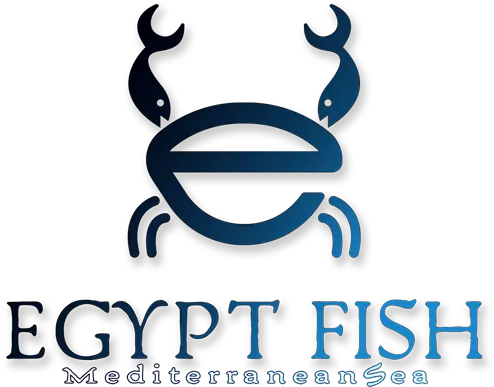  Egypt Fish U2013 Mediterranean Sea Graphic Design Png Fish Logo Png