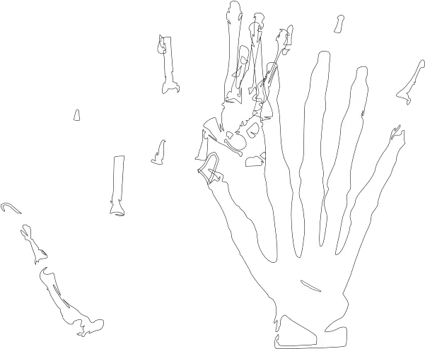  Skeleton Hand White Clip Art Illustration Png Skeleton Hand Png