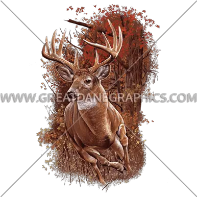  Download Hd Running Buck Decal Transparent Png Image Reindeer Buck Png