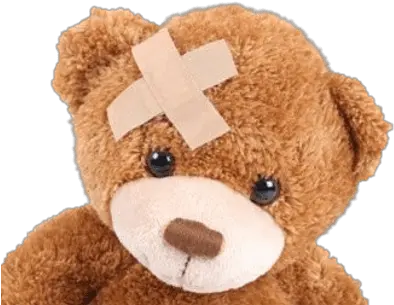  Teddy Bear With Band Aid Stickpng Teddy Bear Head Transparent Bear Head Png