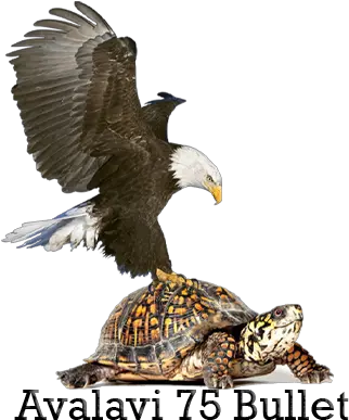  Home Page Png Turtle Bullet Club Png