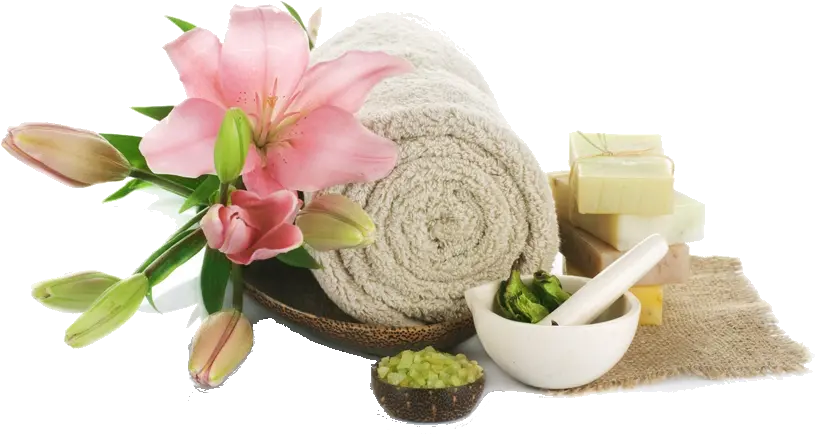  Home Petal Touch Salon U0026 Spa Accessories Massage Flower Png Rose Icon Pimple Saudagar Pune Rates