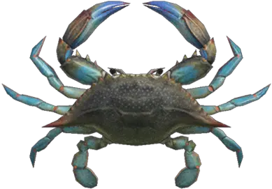  Gazami Crab Animal Crossing New Horizons Gazami Crab Png Crab Legs Png