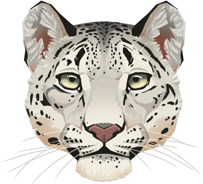  Leopard Face Png Background Image U2013 Free Images Vector Easy Snow Leopard Face Leopard Png