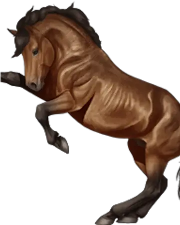  Mustang Horse Reality Wikia Fandom Roan Png Horse Transparent Png