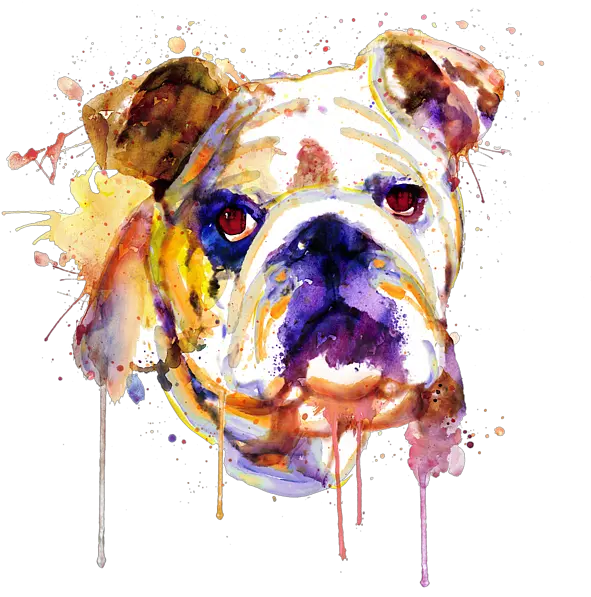  English Bulldog Head Carry All Pouch Bulldog Art Png Bulldog Transparent