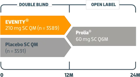  Evenity Romosozumab Aqqg Vs Placebo Study Design Vertical Png Double Take Woman Icon Image