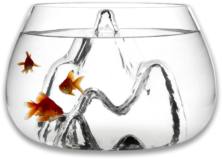  Fishscape Fishbowl By Aruliden For Gaia Unique Fish Bowls Png Fish Bowl Transparent Background