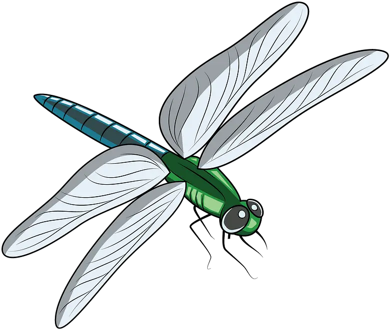  Dragonfly Clipart Free Download Transparent Png Creazilla Clipart Image Of Dragonfly Dragon Fly Png