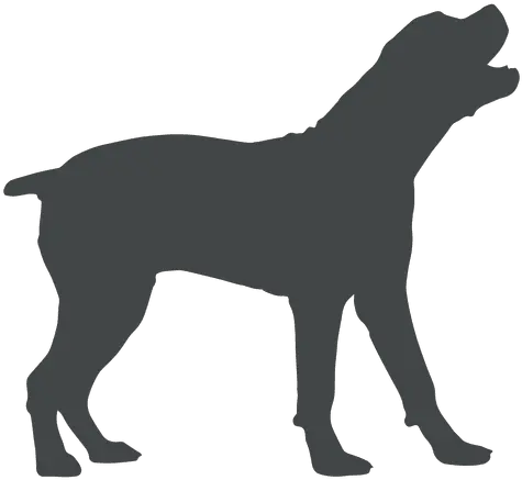  Dog Silhouette Playing Transparent Png U0026 Svg Vector File Barking Dog Silhouette Png Dog Silhouette Transparent Background