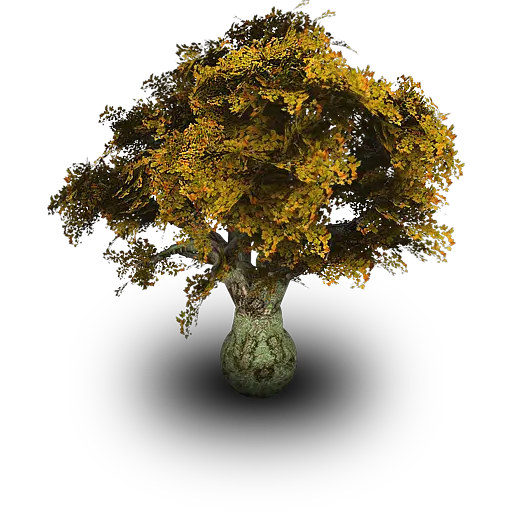  Old Tree Psd Official Psds Tree Icon Png Old Tree Png