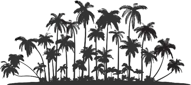  Palm Tree Service Oahu Row Of Palm Trees Silhouette Png Palm Tree Silhouette Png