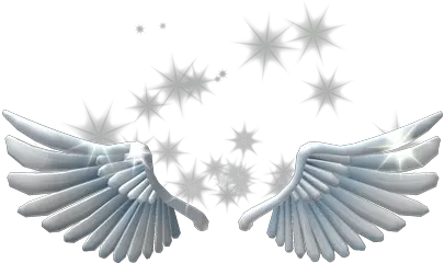  Sparkling Angel Wings Roblox Wikia Fandom Sparkling Angel Wings Png Roblox Wing Png