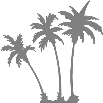  Icons Palmtreesgrey Hawaii Luxury Listings Luxury Palm Tree Watercolor Png 2k Real Estate Listing Info Icon