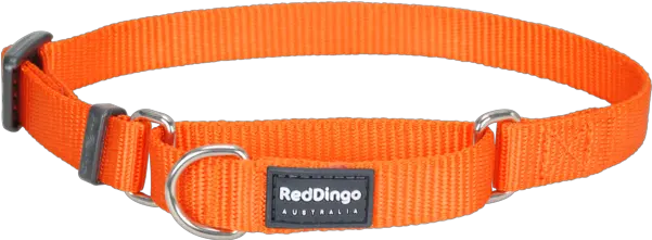  Classic Martingale Dog Collar Png