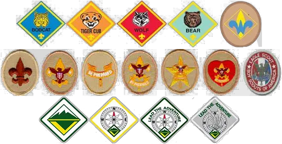  Advancement During Covid 19 Chester County Council Bsa Advancement Png Boy Scout Logo Png