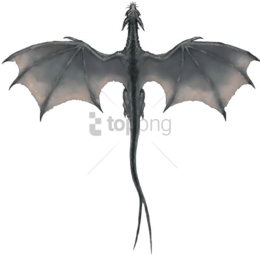  Download Free Png Gray Dragon Image Flying Game Of Thrones Dragons Game Of Thrones Dragon Png