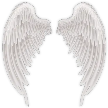  Bird Angels Wings Png Transparent Photo Image Free Transparent Hd Angel Wings Png Angel Png Transparent