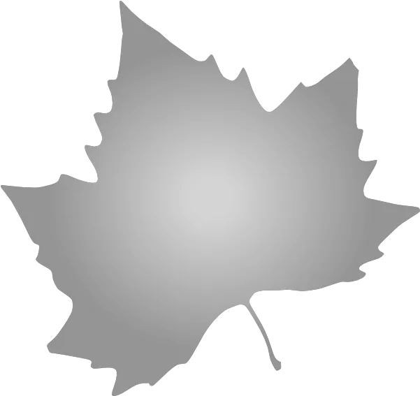  Grey Maple Leaf Clip Art Vector Clip Art Autumn Leaves Clip Art Png Maple Png