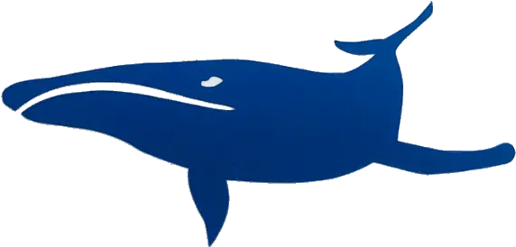  Whale Reflective Sticker U2013 Stickers Crystals And More Png Icon