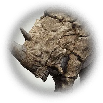  Stone Rhino Artifact Png Rhino Icon